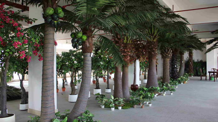 仿真椰子树-合肥旭卉景观雕塑厂家制作